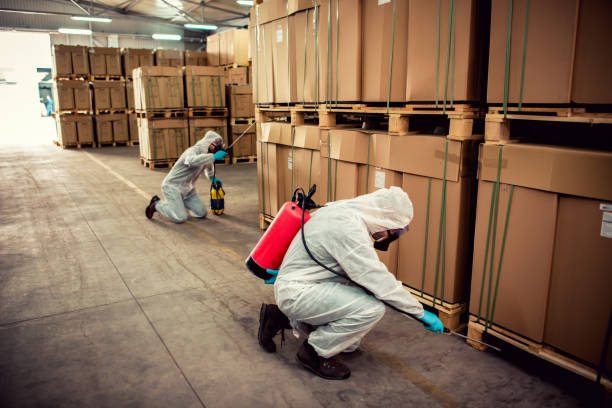 Best Best Pest Control Companies  in Lake Of The Woods, IL