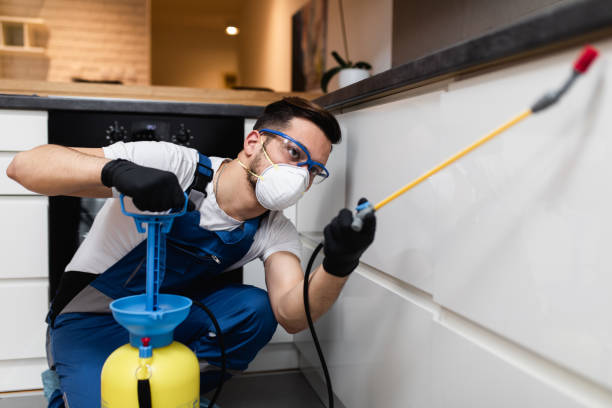 Best Cockroach Control Services  in Lake Of The Woods, IL