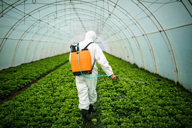 Best Pest Inspection Near Me  in Lake Of The Woods, IL