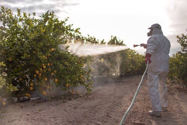 Best Commercial Pest Control Services  in Lake Of The Woods, IL