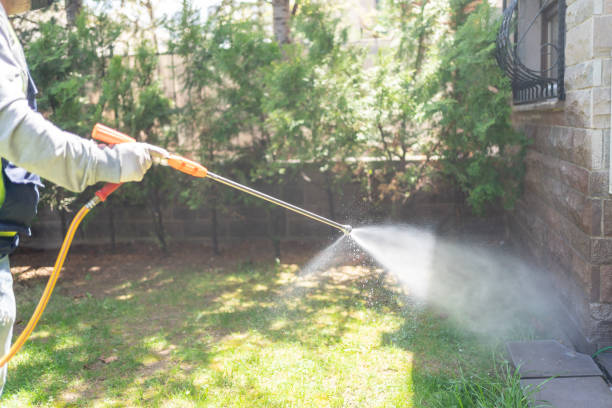 Trusted Lake Of The Woods, IL Pest Control Experts
