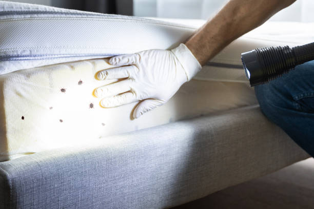 Best Emergency Pest Control  in Lake Of The Woods, IL