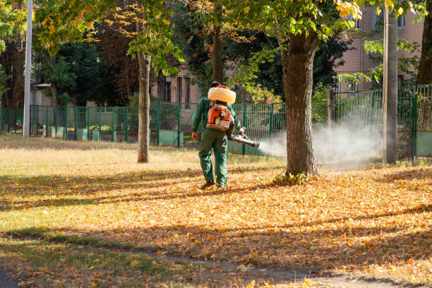 Best Wasp Removal Services  in Lake Of The Woods, IL