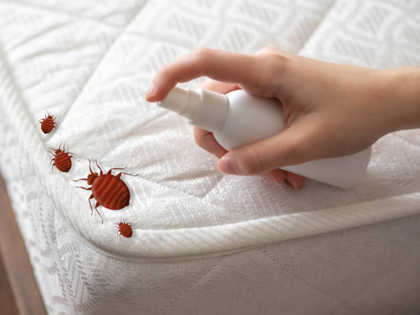 Best Pest Removal Services  in Lake Of The Woods, IL