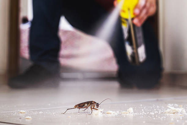 Pest Control for Restaurants in Lake Of The Woods, IL