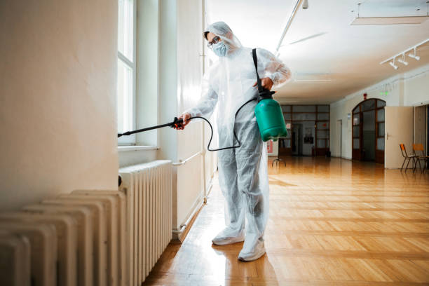 Best Ant Control Services  in Lake Of The Woods, IL