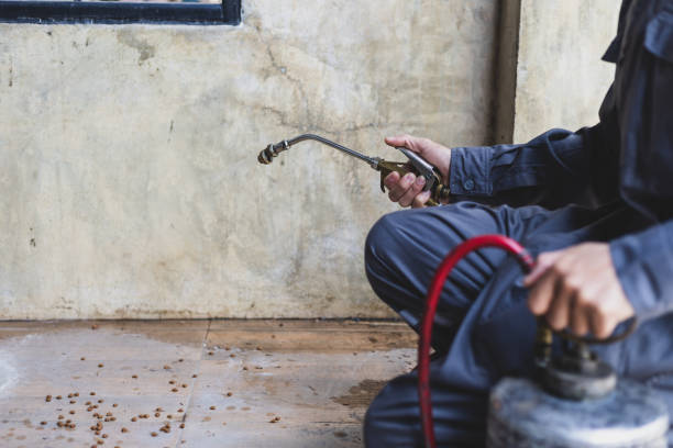 Best Rat Extermination Near Me  in Lake Of The Woods, IL